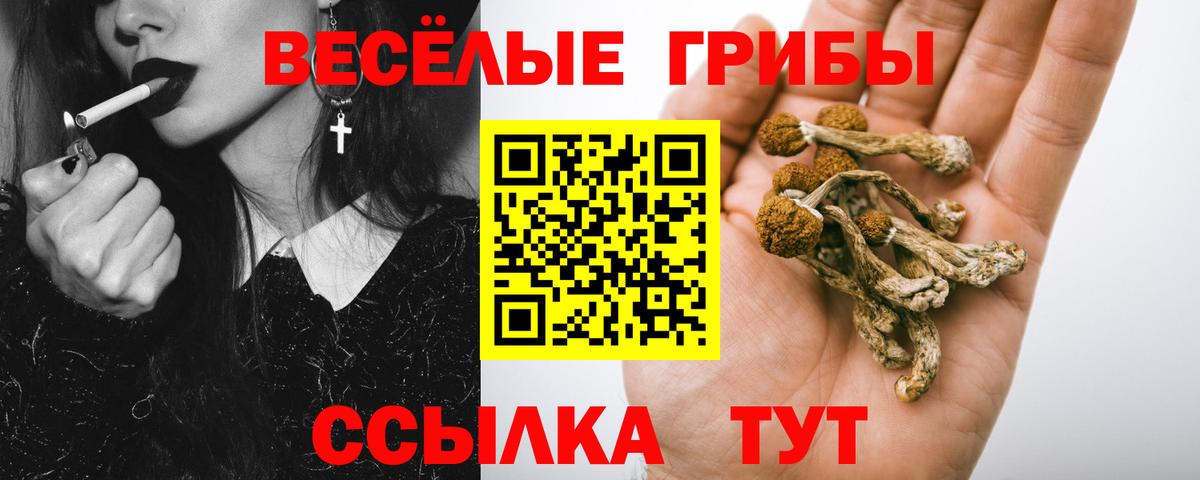 ГАШ  Конопля  Купить закладку  Экстази  Вход с VPN  ГЕРОИН  Чебаркуль  Меф МЯУ МЯУ кристаллы  ГАШИШ 